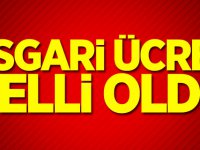 SON DAKİKA: Asgari Ücret Yüzde 34 Zamla 11.402 TL Olarak Açıklandı!