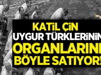 Çin Uygur Türklerinin organlarını böyle satıyor!