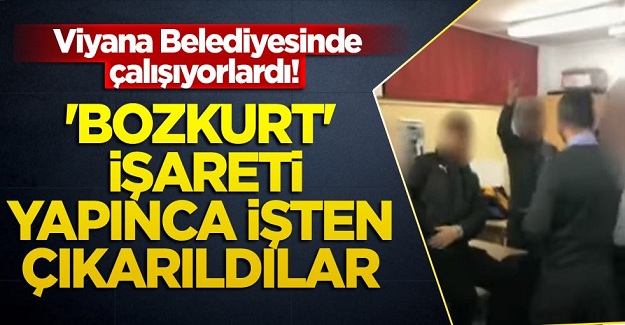 Viyana Belediyesinde çalışıyorlardı! 'Bozkurt' işareti yapınca işine son verildi