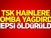 TSK hainlere bomba yağdırdı! Hepsi öldürüldü