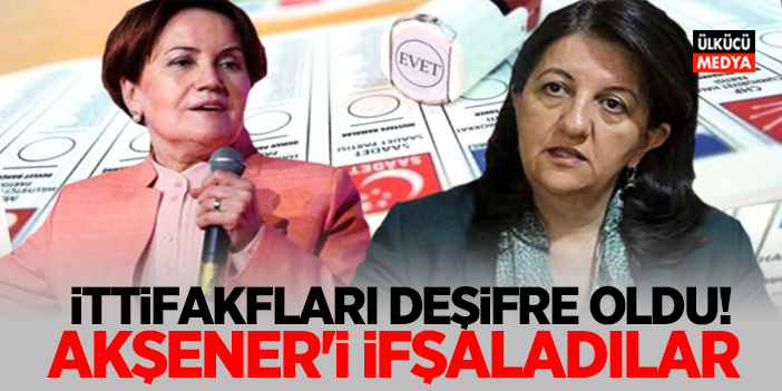 İYİ PARTİ-HDP İttifakı deşifre oldu! Meral akşener'i ifşaladılar..