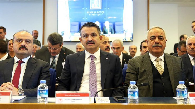 Pakdemirli: Tarımsal destekler 2020'de 22 milyar liraya çıkacak'